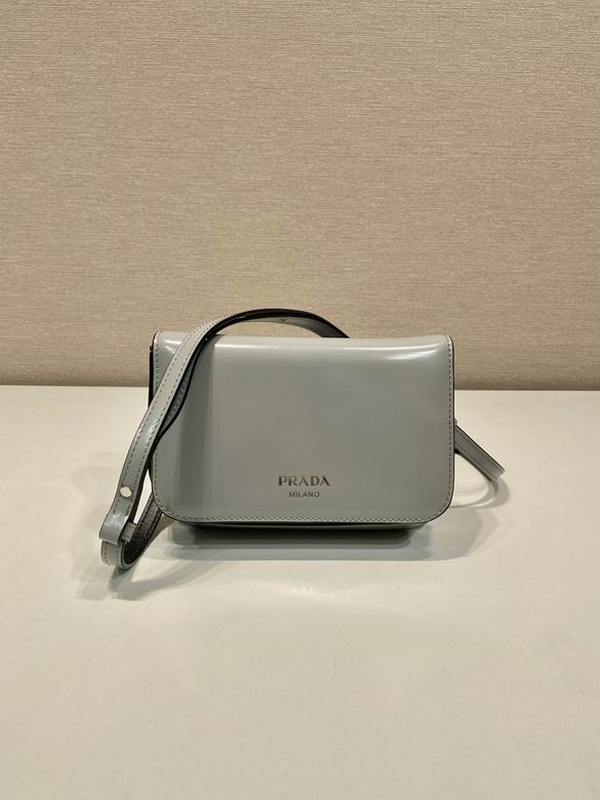 Prada Handbags 109